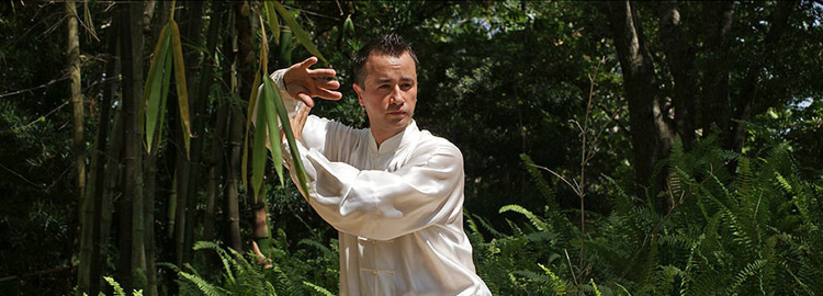 Tai-Chi & Qi-Gong