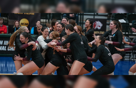 Volleyball players celebrating