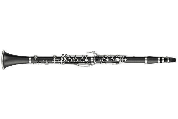 Southern Miss Clarinet Day
