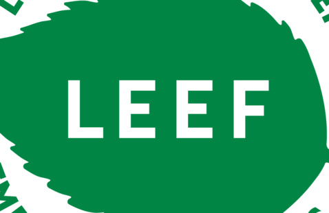 A green leaf with the acronym "LEEF" spelled on it in bold white lettering