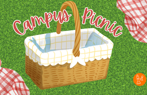 Picnic basket on grass