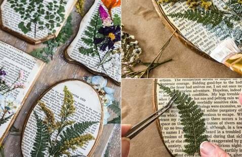 Fancy Plants Club: Pressed Bookpage Botanicals
