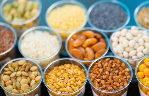 Dirty Diggers: Saving Seeds
