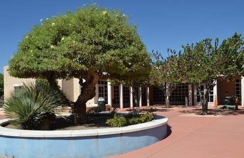 South Valley Campus courtyard with trees in bloom for the summer 