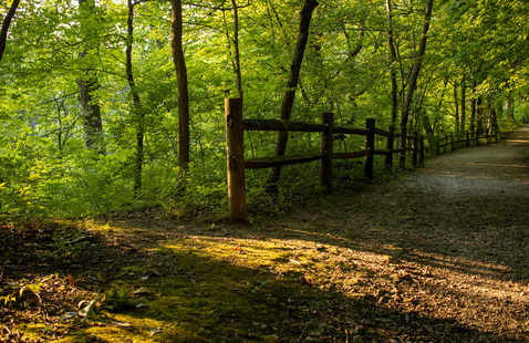 Trail 5, photo by M. Doty.