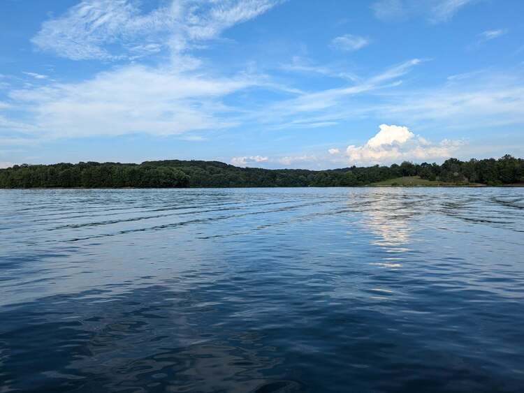Wildlife Watchers on the Water - Pontoon