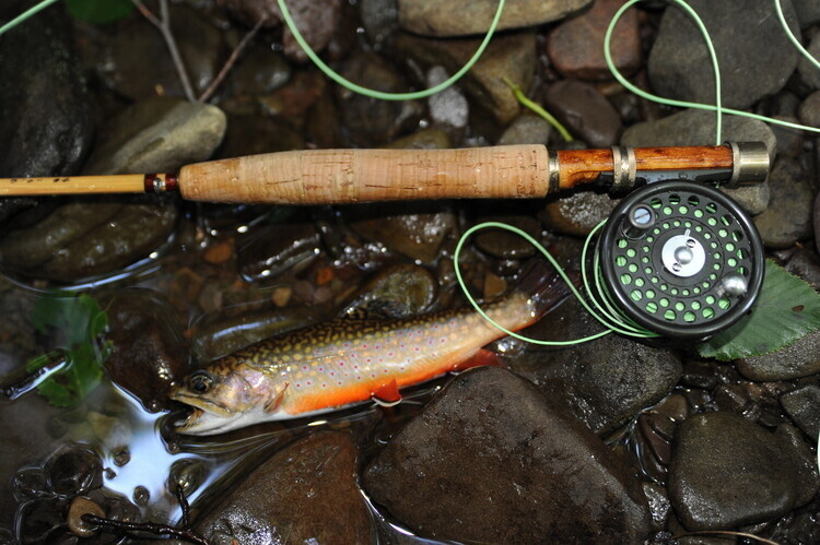 Red, White and Bluegill Fishing Program