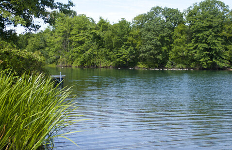 Lake Marburg