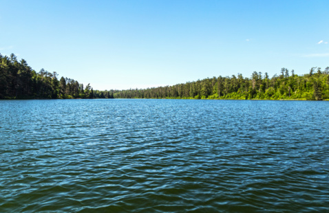Image of PSC Exploration Day: Trip to Jennings Randolph Lake