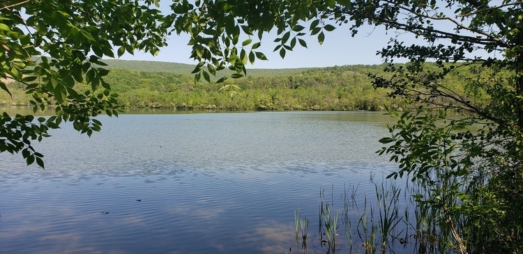 Lake Hike