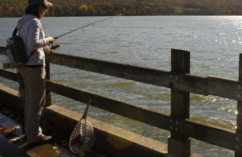 Image of Fishing Basics