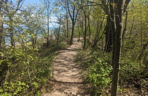 trail