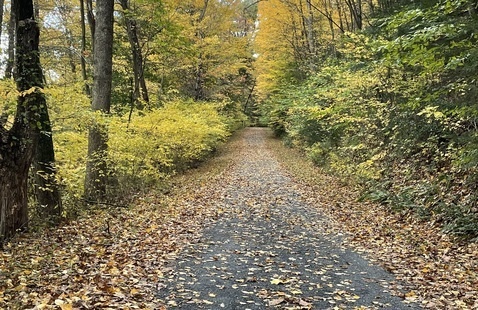Open, paved trail