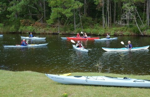 A group of kayakers paddling on the water.