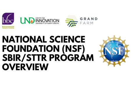 Event Graphic that says, "NATIONAL SCIENCE FOUNDATION (NSF) SBIR/STTR PROGRAM OVERVIEW"