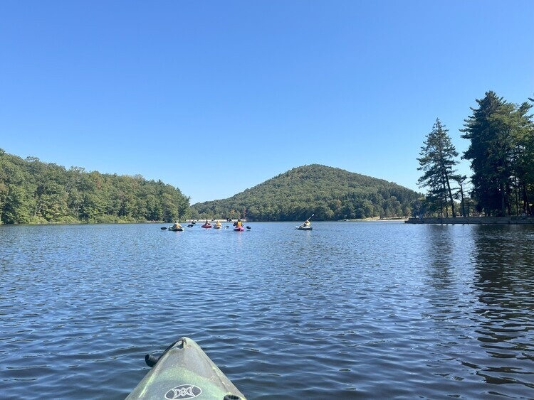 Wildlife Kayak Paddle!