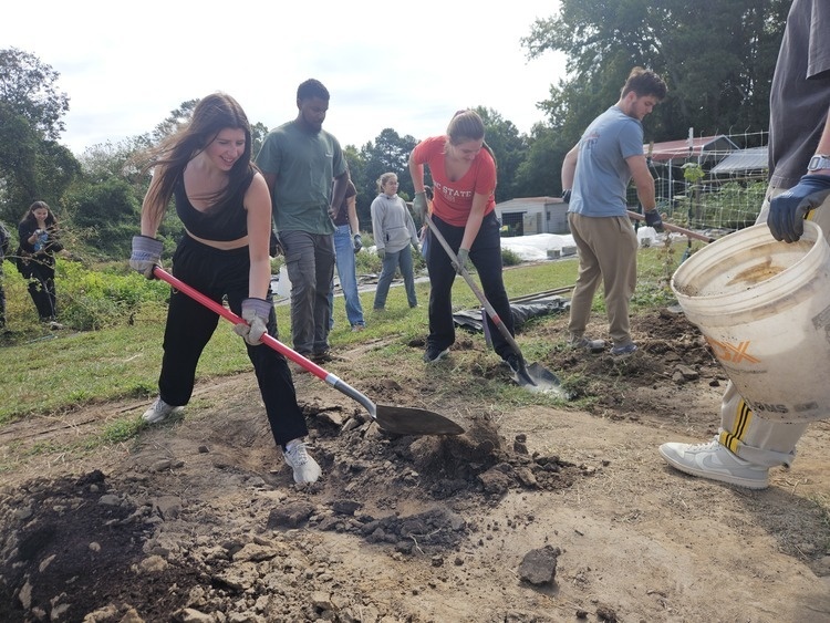 Agroecology Farm Volunteer Workday — Community in Agroecology Education Farm