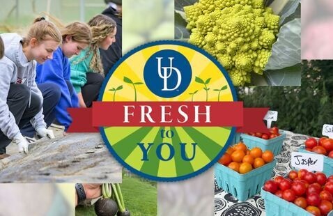UD Fresh To You