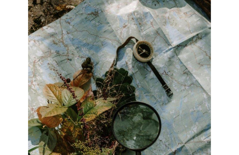 Bushcraft map compass and leaves