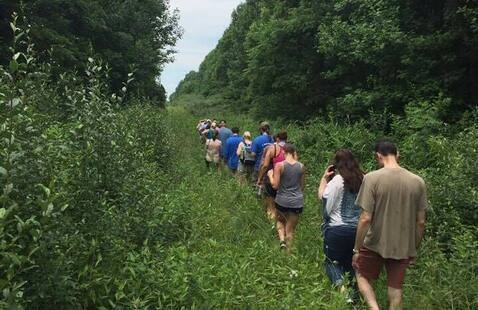 hikers walking along path