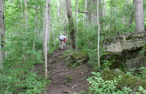 people hiking on trail