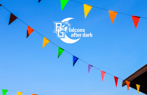rennisaunce fair flags with falcons after dark