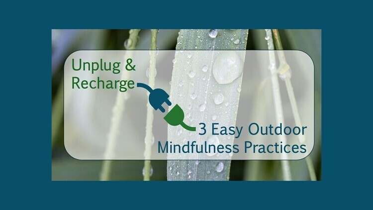 Unplug & Recharge: 3 Easy Outdoor Mindfulness Practices