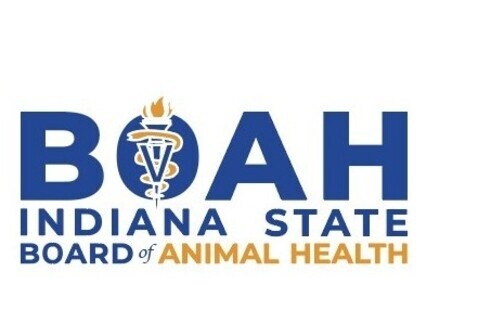 BOAH Logo