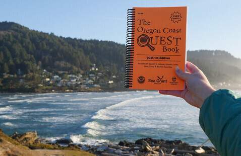 A hand holds out a Quest book.