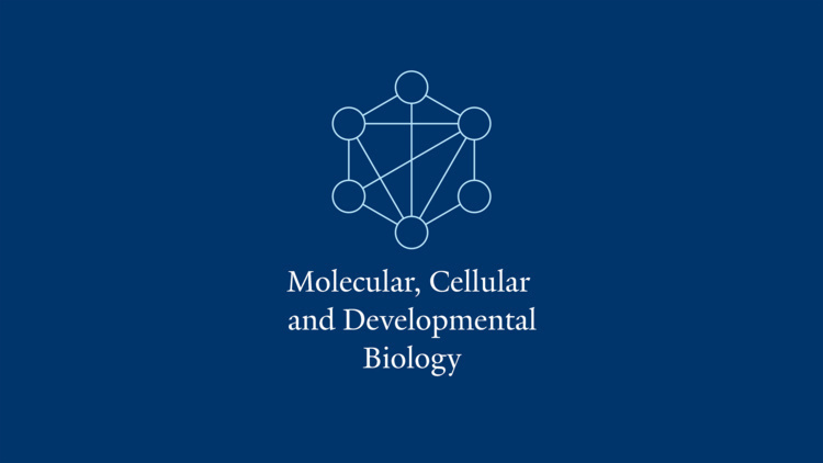 MCDB Seminar Series: Zhiguo Zhang