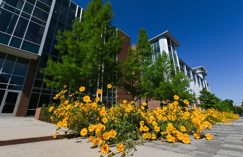 Vine Street with library 