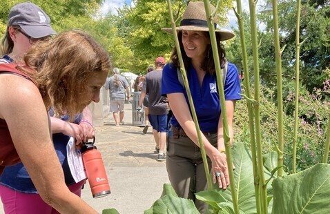 DNR staff showing a plant to two people 