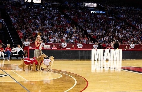 Renate Crawford and 3 golden retrievers on the basketball court at Millett talk to the crowd during convocation 2025 