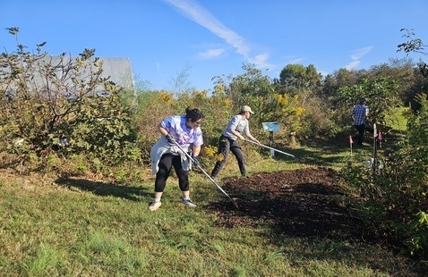 Volunteers working at the Agroecology Farm.