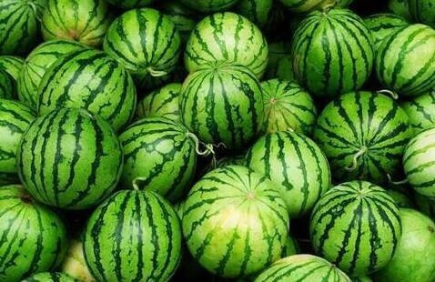 Group of Watermelons