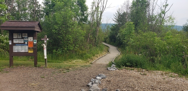 Lakeside Trail Walk