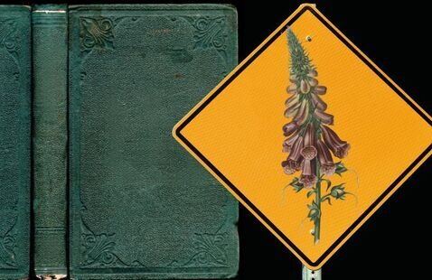 A warning sign with a flower is on top of a green book.