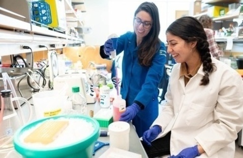 Image of Cancer Research Showcase for Graduate Students