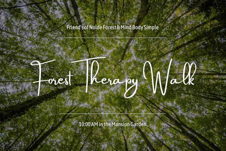 Free Forest Therapy Walk