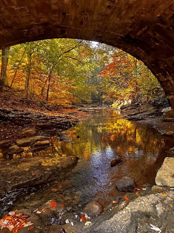 Centennial Challenge Completion, McCormick's Creek State Park