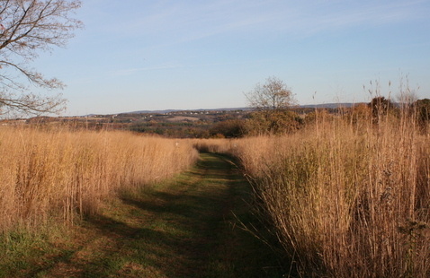 Image of Jacobsburg Environmental Education Center