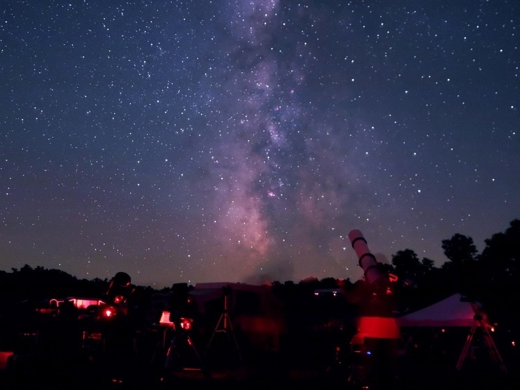 SOLD OUT: Meteor Night Hike with Friends of Tyler State Park
