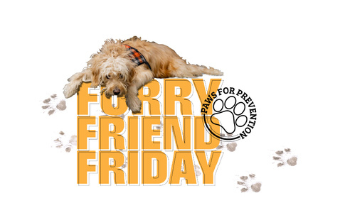 Furry Friend Friday - Oklahoma State University - Stillwater
