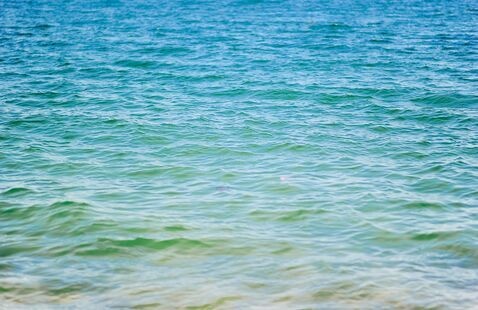 Calm ocean waves gently ripple under a bright blue sky