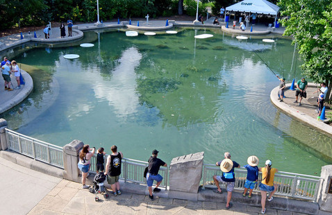 Fishing Pond at DNR building of Indiana State Fair