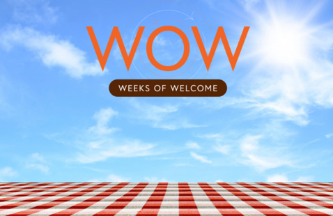 a picnic table and sunny sky with the wow logo