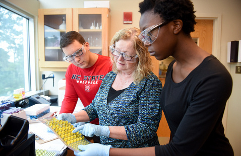 Faculty member talking with two students in a lab.