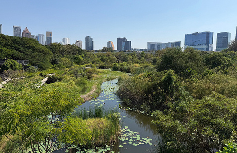 A stream winds through lush landscape with high-rise buildings in the background.