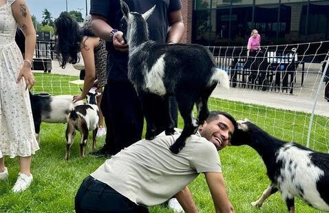 student playing with goats.
