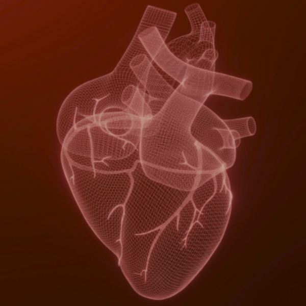 Stanford Medicine and Stanford Health Care Tri-Valley 2026 Cardiovascular Symposium: Advancements in Cardiovascular Care